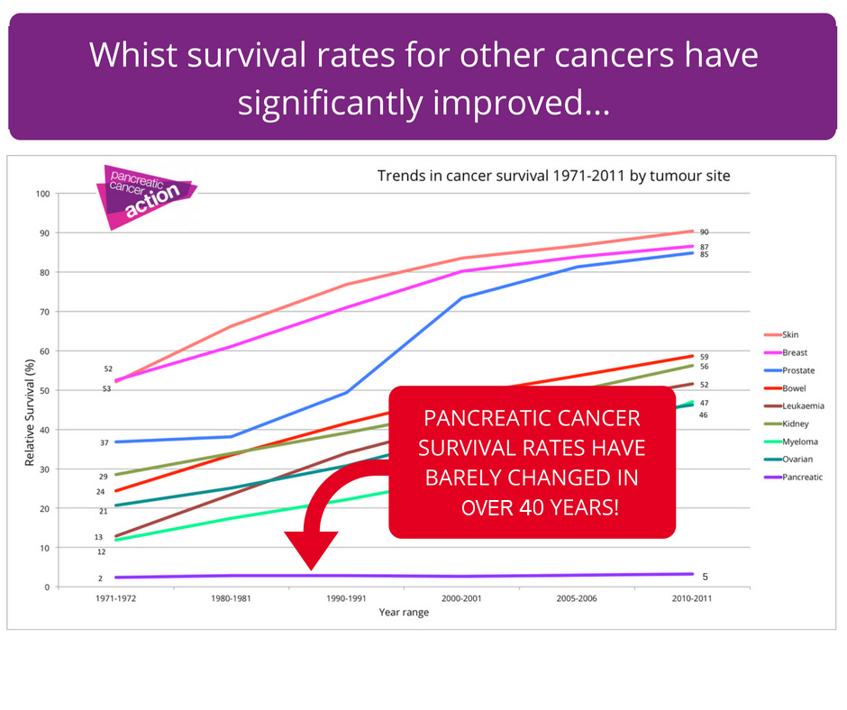 Graph Above Courtesy of Pancreatic Cancer Action